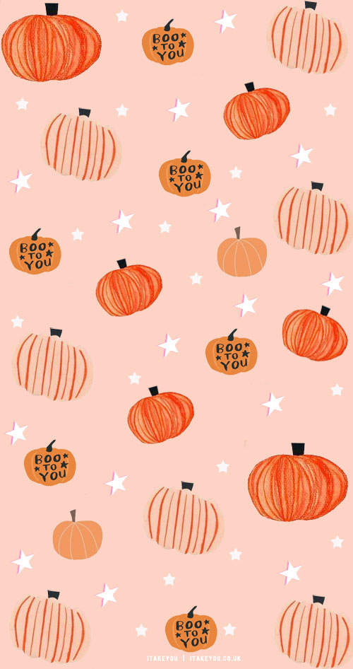 Free download Fall Pumpkins iPhone Wallpaper 844x1500 for your Desktop  Mobile  Tablet  Explore 27 Pumpkin Aesthetic Wallpapers  Pumpkin  Backgrounds Pumpkin Wallpaper Pumpkin Wallpaper Free