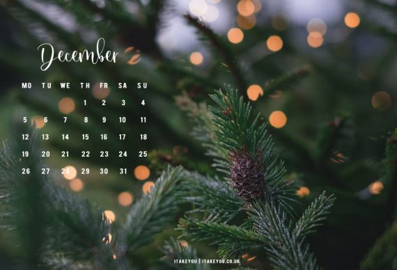 30+ Free December Wallpapers : Fairy Light + Pine Tree Wallpaper I Take ...