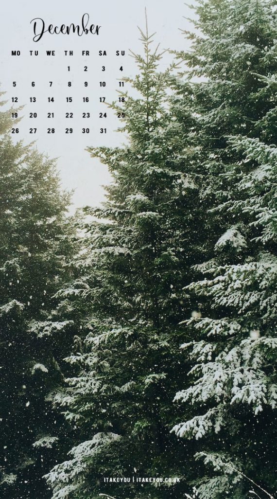 30+ Free December Wallpapers : Pine Tree Wallpaper I Take You | Wedding ...