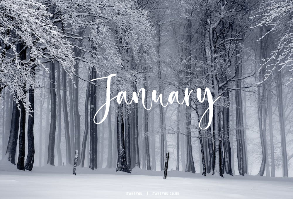 January 2021  Cardinal in the Snow Desktop Calendar Free January Wallpaper