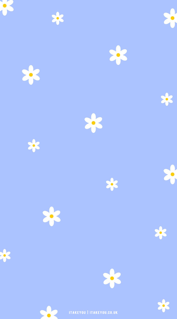 33 Cute Spring Wallpaper Ideas : Cute Daisy Blue Wallpaper I Take