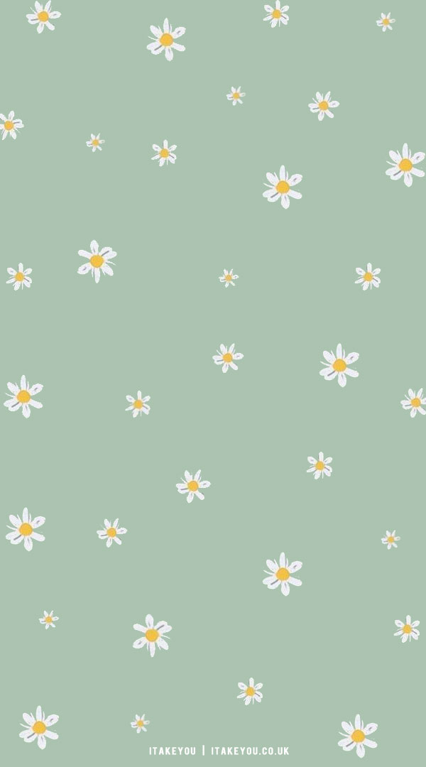 33 Cute Spring Wallpaper Ideas  Daisy Mint Green Wallpaper I Take You   Wedding Readings  Wedding Ideas  Wedding Dresses  Wedding Theme