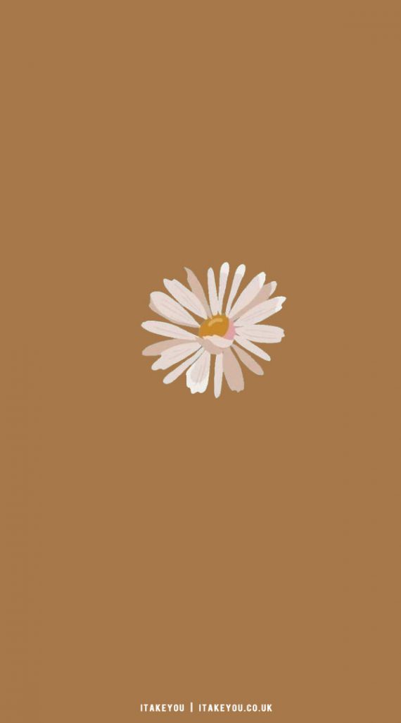 33 Cute Spring Wallpaper Ideas : A Daisy Brown Wallpaper I Take You ...