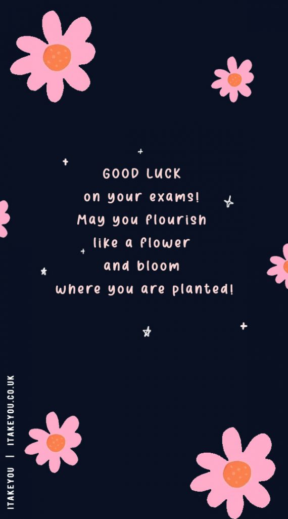 35-good-luck-exam-wishes-for-gcse-students-navy-blue-pink