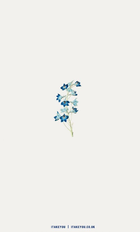 20 Shades of Serenity Blue Wallpaper Ideas : Blue Floral Wallpaper for ...