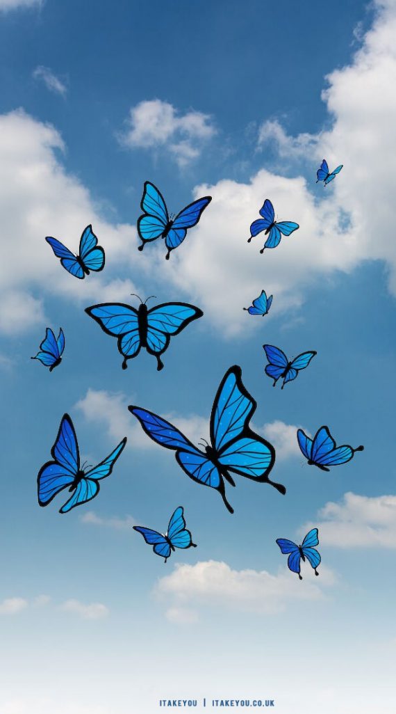 20 Shades of Serenity Blue Wallpaper Ideas : Blue Butterflies & Sky ...