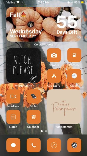 Aesthetic Fall IOS Home Screen Ideas : Autumn Grey Day I Take You ...