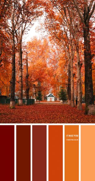 Harvesting Coziness: Autumn Home Decor Ideas to Fall For I Take You ...