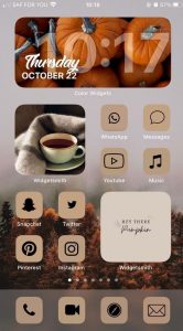 Aesthetic Fall IOS Home Screen Ideas : Pumpkin & Misty Autumn Day I ...