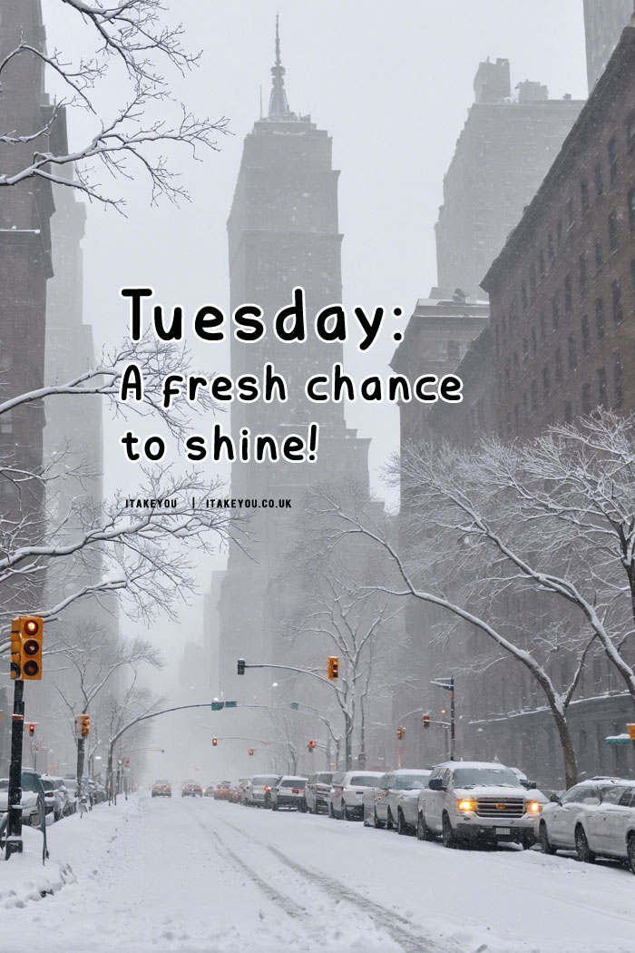 Happy Tuesday : Embracing the Joy of a New Day