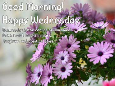 Happy Wednesday : Embracing the Joy of Happy Wednesdays I Take You ...