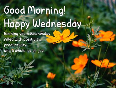 Happy Wednesday : Embracing the Joy of Happy Wednesdays I Take You ...