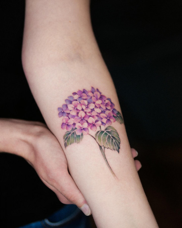Hydrangea Flower Tattoo, colorful flower tattoos