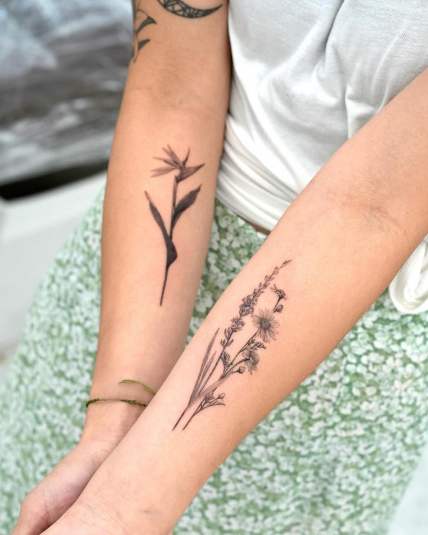 Bird of paradise and Camomile with lavenders tattoo, flower tattoo on arms