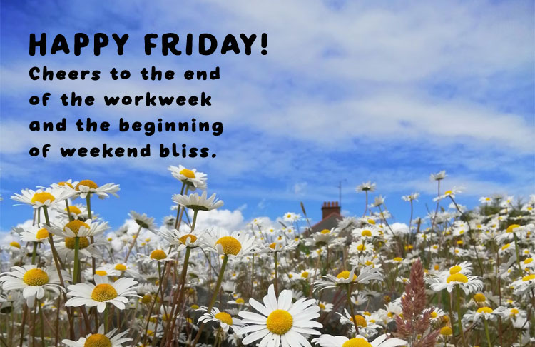 happy friday, happy friday image, positive friday, hello friday, hello friday good morning