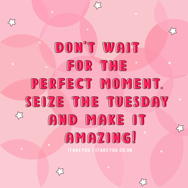 Positive Tuesday Quotes, Tuesday motivational quotes, happy Tuesday, mindset quotes