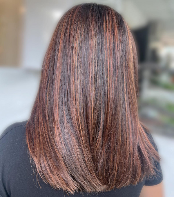 Chestnut with Caramel Highlights, chestnut hair color idea