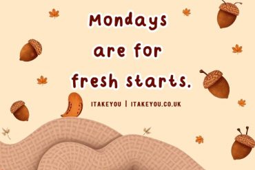 Monday Motivational, Mondays are for fresh starts