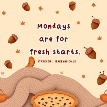 Monday Motivational, Mondays are for fresh starts