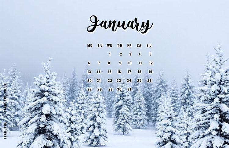 10 Beautiful January Wallpapers for a Winter Wonderland : Frosty Forest ...