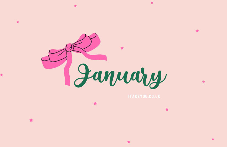 Coquette Aesthetic January Wallpaper