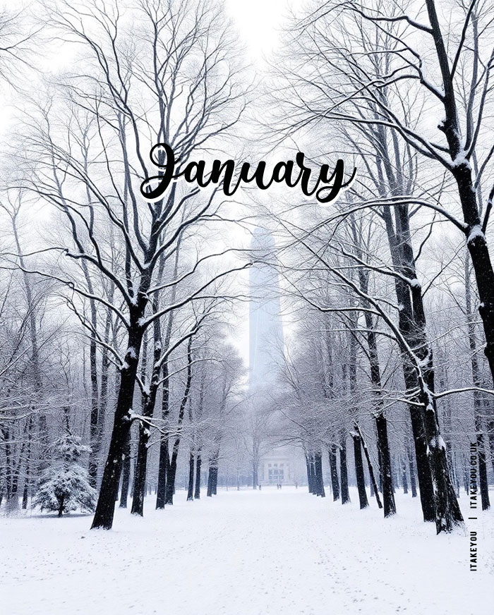 10 Beautiful January Wallpapers for a Winter Wonderland : Wintery January Wallpaper for iPhone